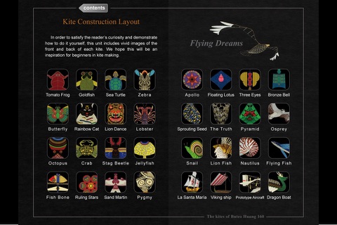 Kite Flying Dreams screenshot 4