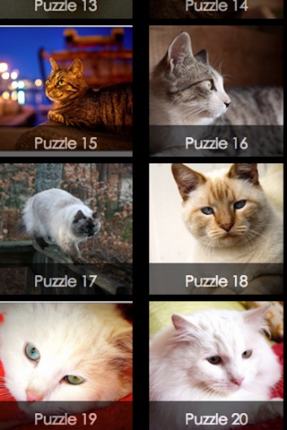 Cats Puzzle HD screenshot 3