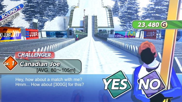 Real Skijump HD