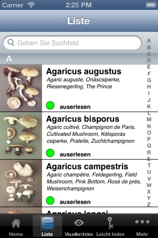 Roger's Mushrooms (Lite) screenshot 2