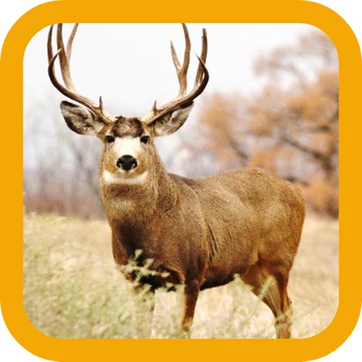 Mule Deer Hunting iOS App