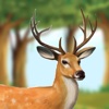 Deer Run From Wild Hunters (Pro)