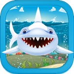 Shark Tank Fish Feeding