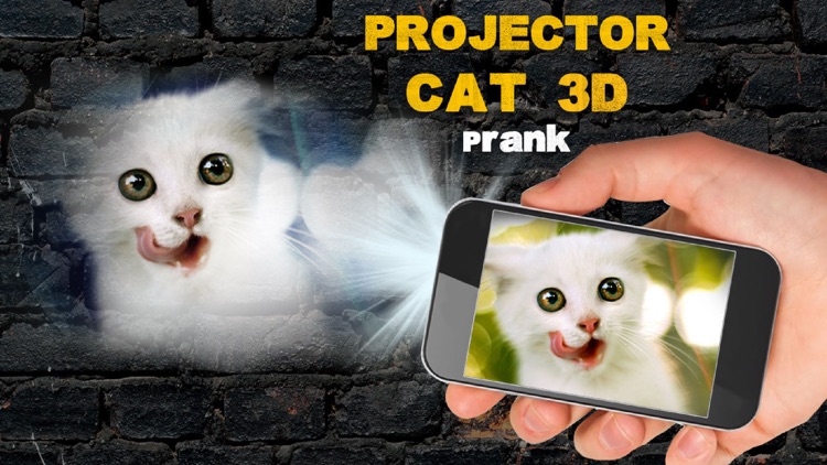 Projector Cat 3D Prank