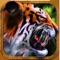 Chase, kill, feed and survive against the wild animals in high action Jungle adventure Tiger Sim 3D game