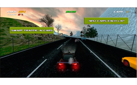 Furious Driving screenshot 2