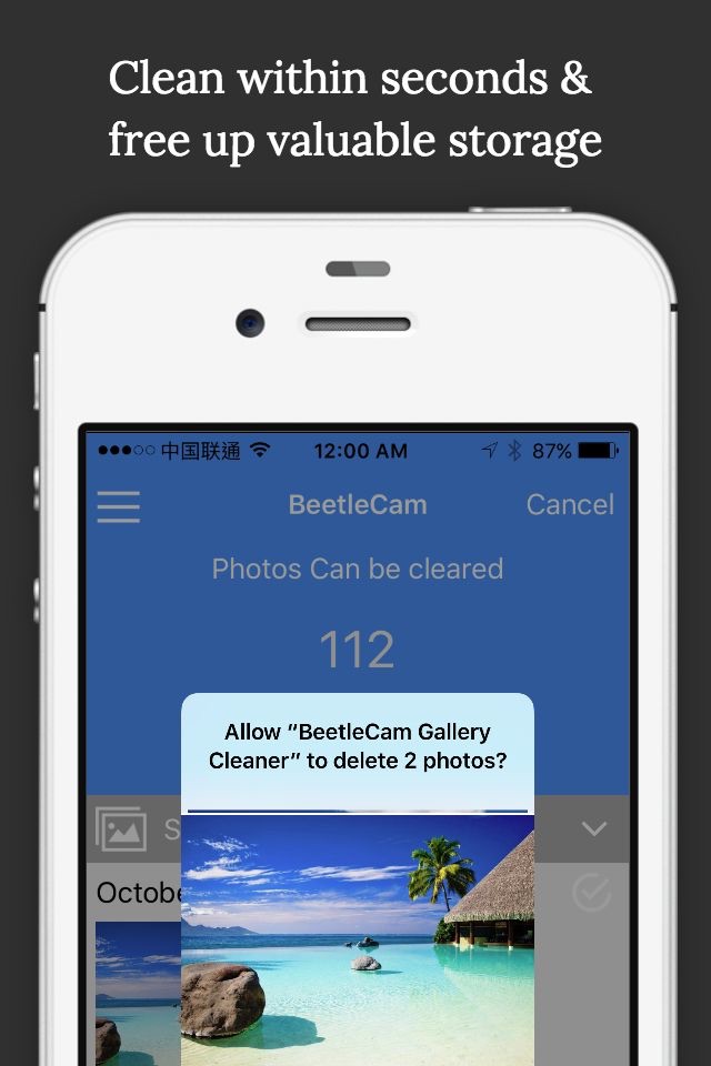 BeetleCam Gallery Cleaner - Duplicate Photos Fixer & Similar Photo Cleanup screenshot 3