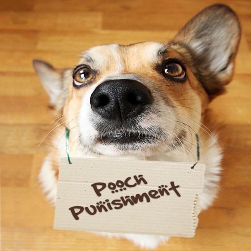 Pooch Punishment