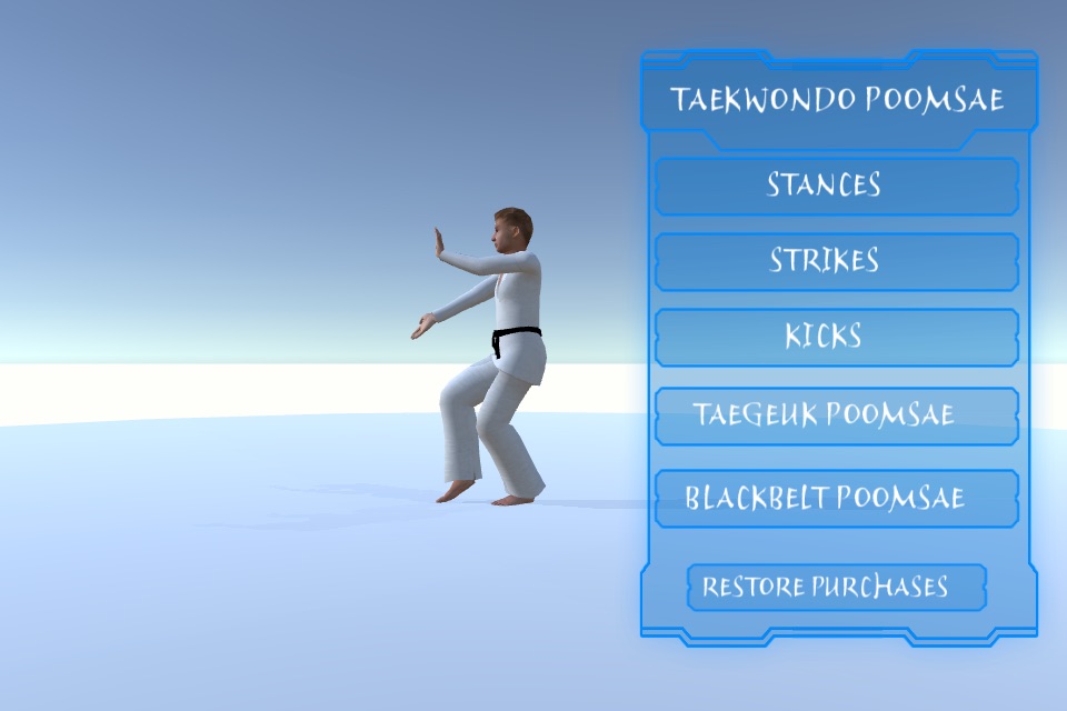 Taekwondo Poomsae screenshot 2