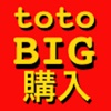 totoBig購入