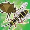 HD Stink Bug vs Wasp