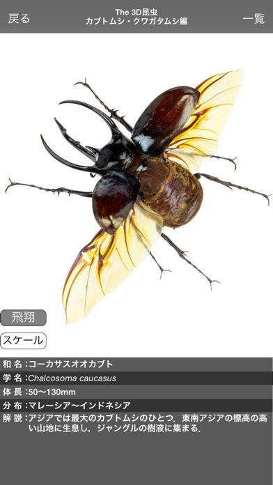 The 3D昆虫 I screenshot1