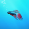 Aquarium Builder: My Pet Fish Tank Maker - Ogtus Media LLC