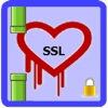 Flapping Heartbleed