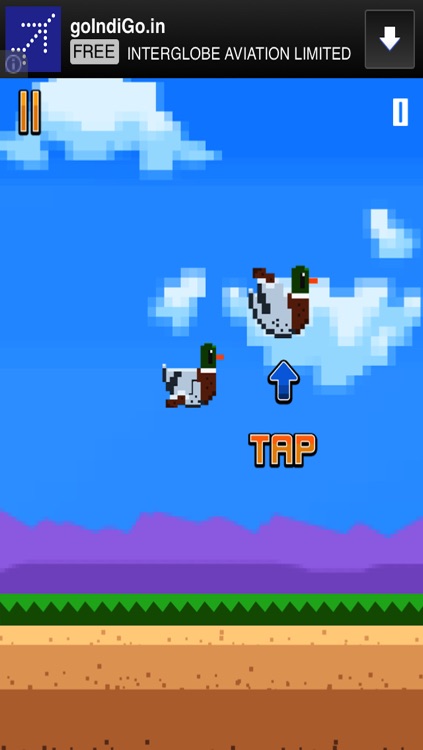 Splashy Duck Flying Happy Adventure Free