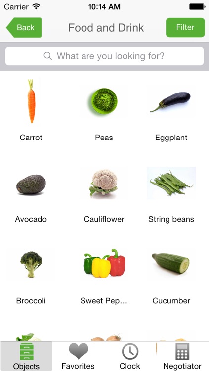 Chinese Picture Dictionary - China Deck