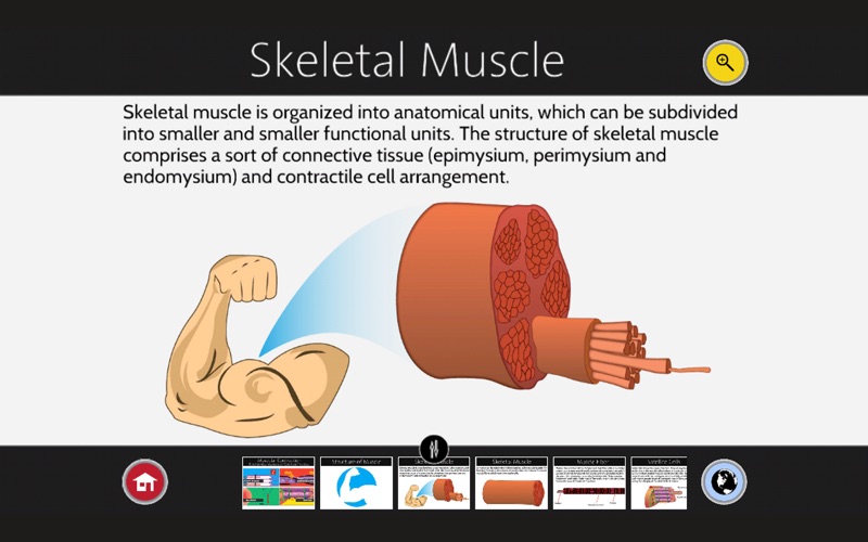Muscle Contraction thumbnail 2