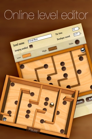 Wooden Labyrinth 3D screenshot 2