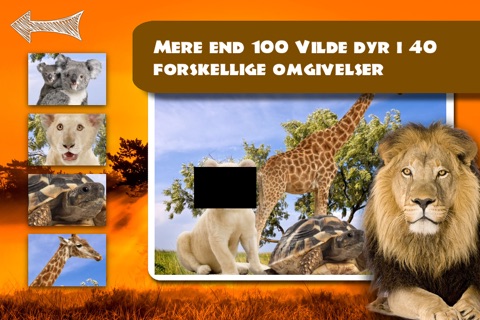 Free Shape Game Wildlife Photo screenshot 4