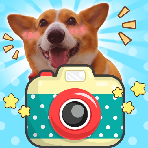 DoggyCam icon