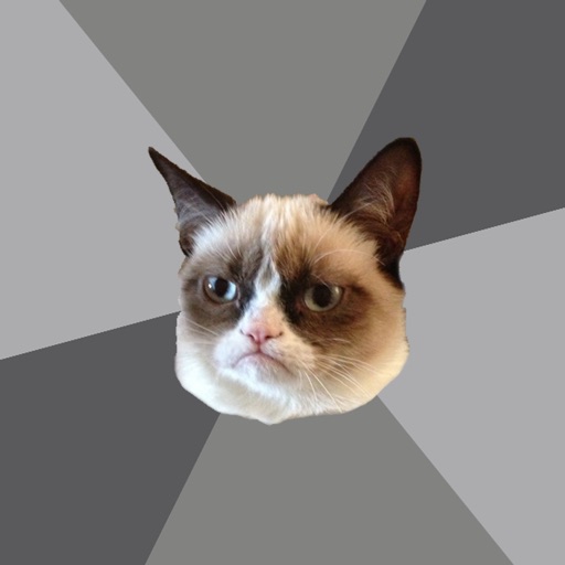 grumpy cat meme generator