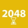 2048 c