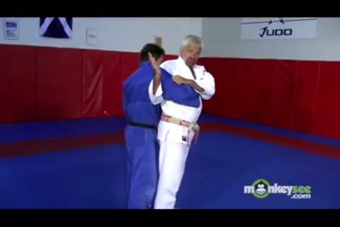 Judo Academy screenshot 4