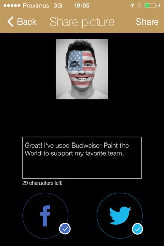 Budweiser Paint the world screenshot 4