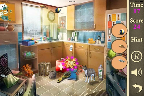 Hidden Objects Of A Pets Foster screenshot 4