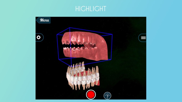 Virtual Reality(VR) Teeth Anatomy