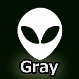 grayCamera