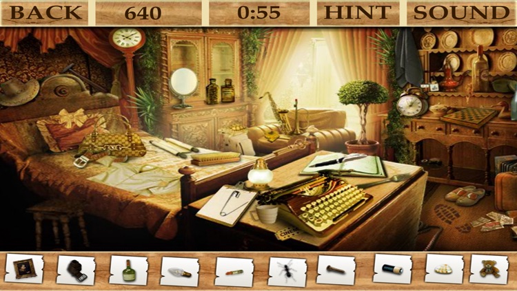 Hidden Objects Hotel screenshot-3