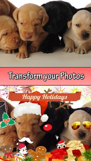 Christmas and New Years picture booth app(圖1)-速報App