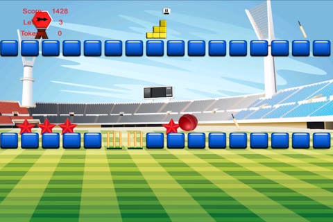 A Cricket Bouncing Ball Extreme Jumping Ashes Mania FREE screenshot 2