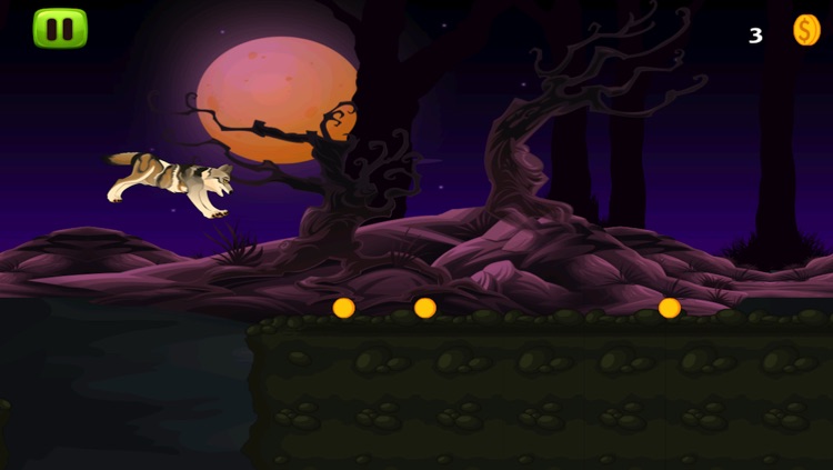 A Wild Wolf Moon Run Adventure