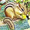 Chipmunk 's - Ringtones, Soundboard, Alerts and Alarms