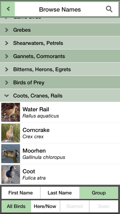 Birds of the Netherlands: A Pocket Guide from iSpiny screenshot-4