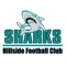 "The Hillside Football club was formed in 1999 and it was clear to see that the club had huge potential and both on and off the field