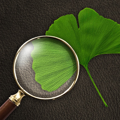 Arbor Day Tree Identification Guide: What Tree ...