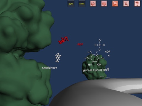 Cell Respiration in 3D virtual reality screenshot 2