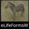 World Life Forms Sampler - eLifeFormsW - An Introductory Life Form App