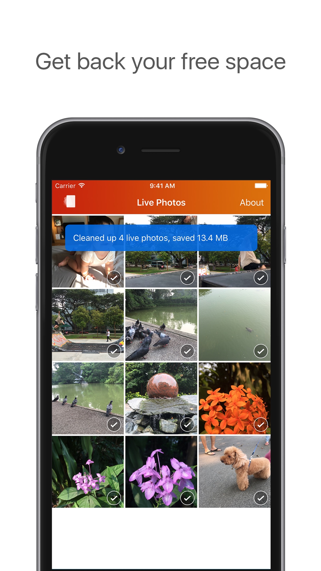 Screenshot do app Lean - Clean up your Live Photos