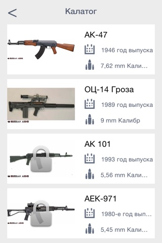 Russian arms screenshot 2