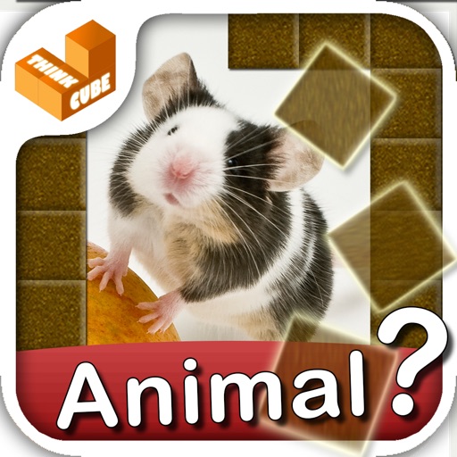 Who am I? - animals icon