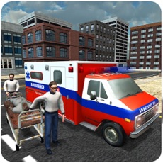 Activities of Ambulance Driver - Rescue 911