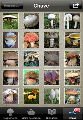 Pantorra - Guia de Cogumelos Silvestres screenshot 3