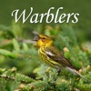 Warblers