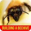 Building A Beehive - Choosing a Right Beehive for Best Beekeeping