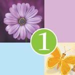 1 Clue Words and Syllables