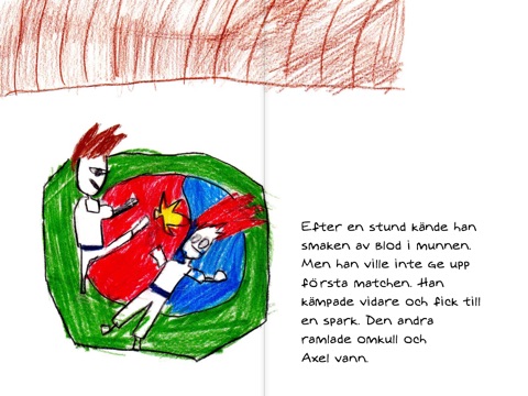 skärmavbild 2